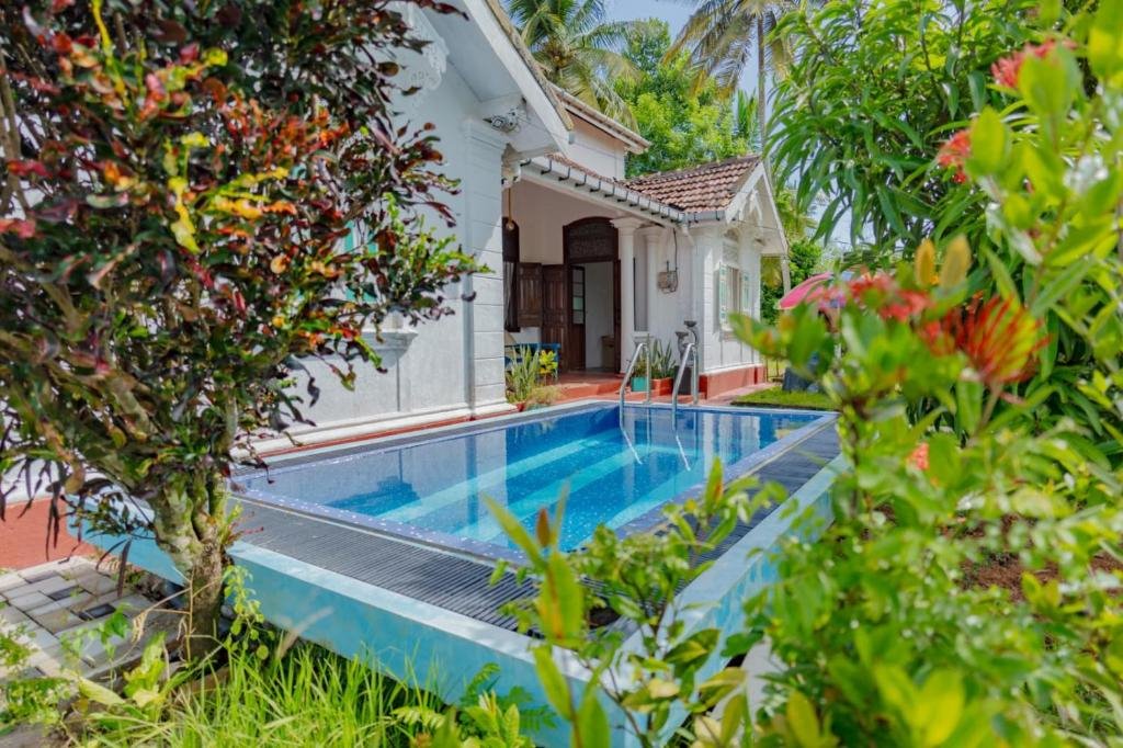 Outdoor pool surrounded by greenery