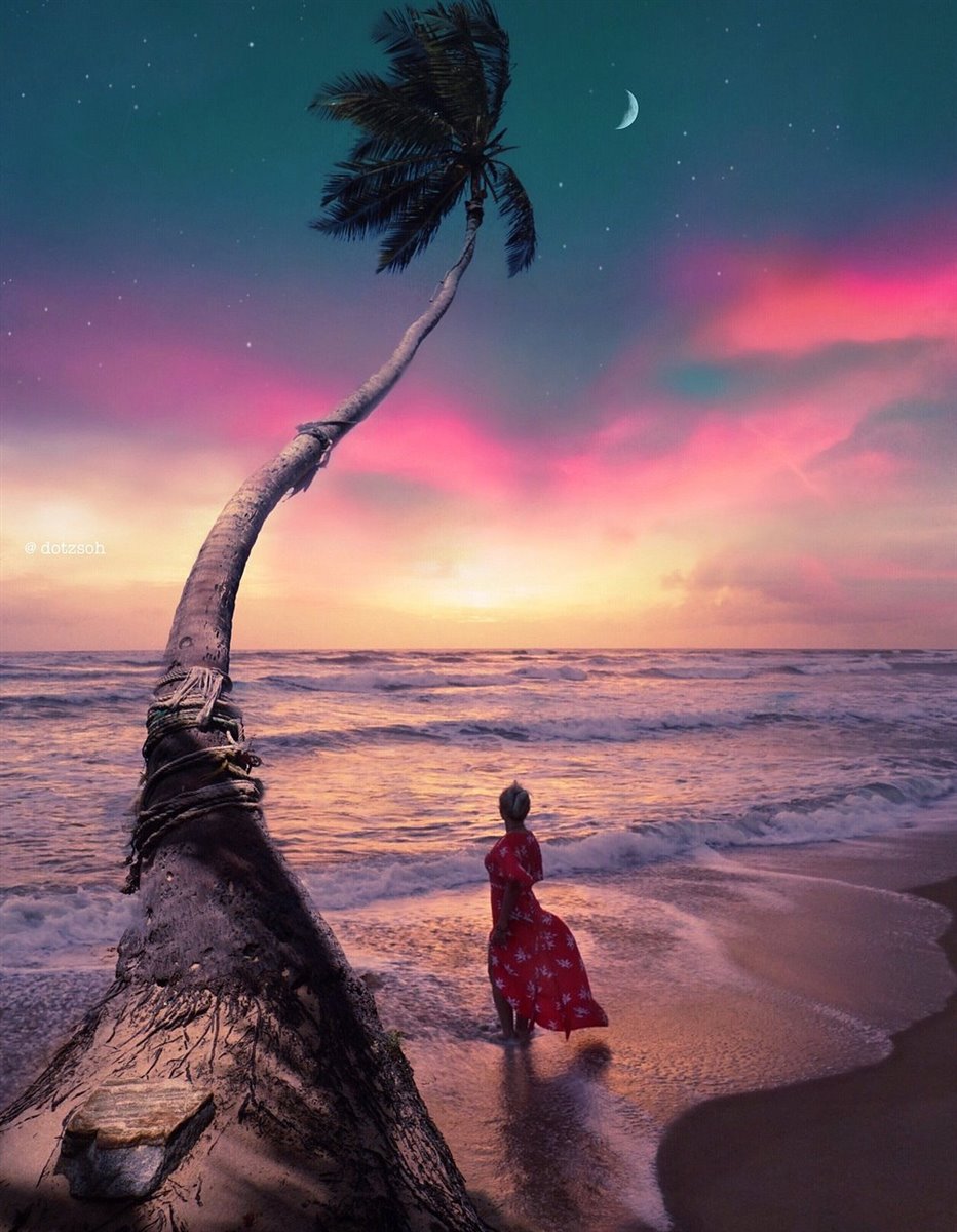 Sunset near Galle with a palm tree